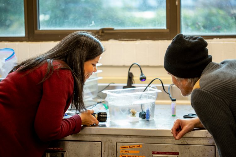 two researchers in the lab