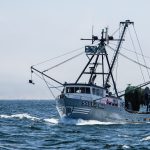 a fishing vessel in california