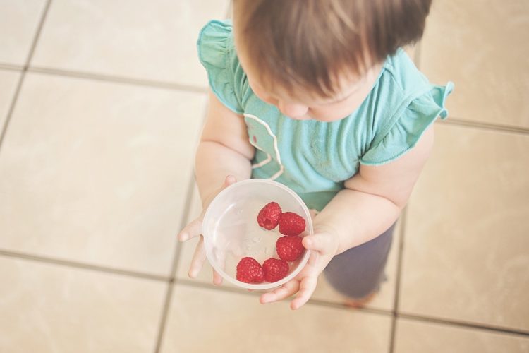 Toddler offers bowl of raspberries to camera.