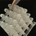 a water-based gel that is used in molecular biology research