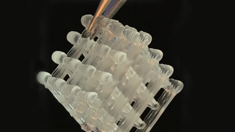 a water-based gel that is used in molecular biology research
