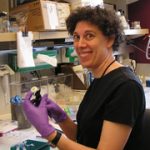 Sharona Gordon, professor of physiology and biophysics and the UW School of Medicine's associate dean for research and graduate education. The Society of General Physiologists has named a new annual award named for her.