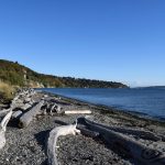beach in seattle
