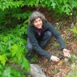 Rare Care plant program is honored. The Rare Care program is overseen by Wendy Gibble, associate director of the Botanic Gardens, and Stacy Kinsell is the volunteer and outreach coordinator.