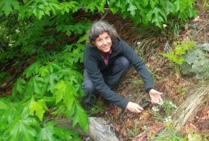 Rare Care plant program is honored. The Rare Care program is overseen by Wendy Gibble, associate director of the Botanic Gardens, and Stacy Kinsell is the volunteer and outreach coordinator.