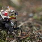 A beetle with a camera system on its back moves through a patch of moss