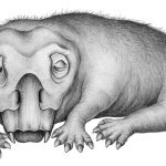 An artist's rendition of an ancient vertebrate called Lystrosaurus