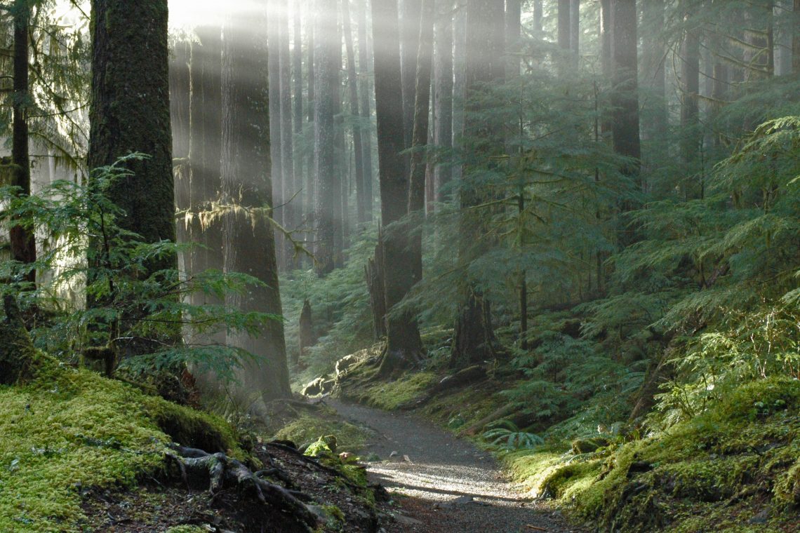 Military flights biggest cause of noise pollution on Olympic Peninsula