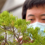Close up of man with mask working on small delicate branches