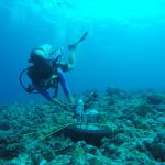 diver in water