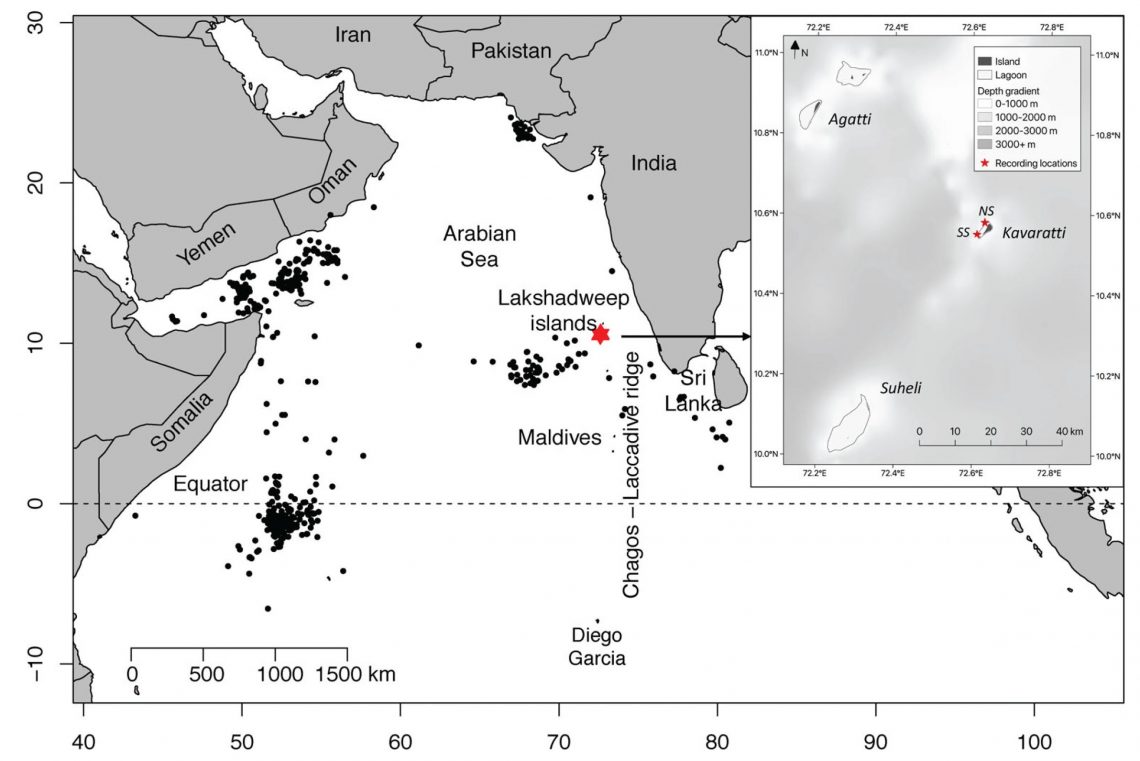 map of northern Indian Ocean with clusters of black dots