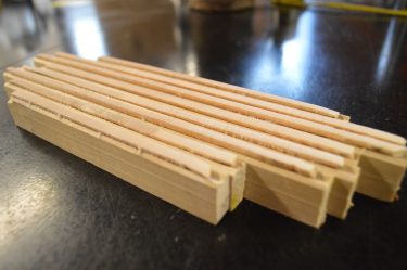 parts of tree cores