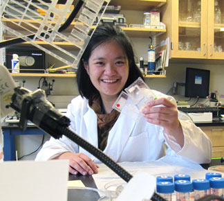 2012-13 Scholar, Tinny Liang Tinny Liang in lab
