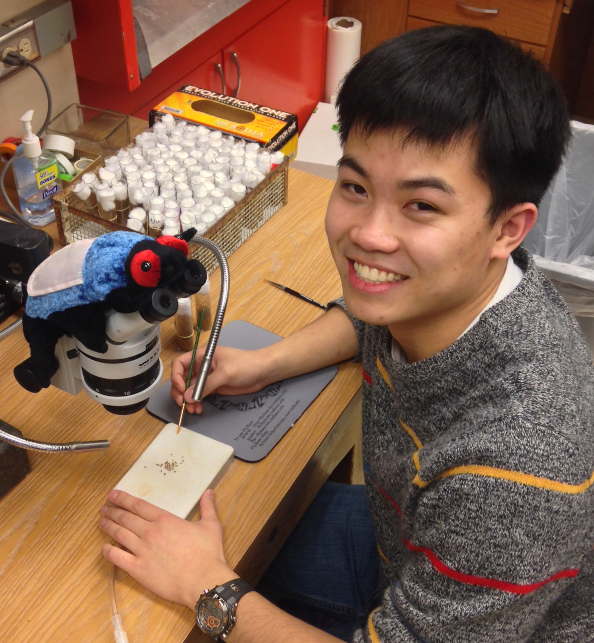 2013-14 Scholar, Trung Phan Trung Phan in lab