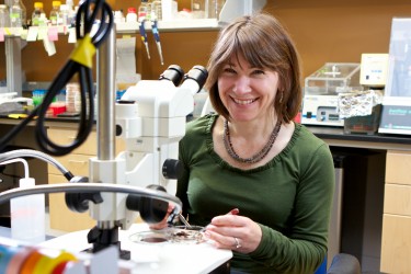 Seana Davidson, Research Assistant Professor Environmental Engineering in her lab at UW. Photo by Matt Hagen.