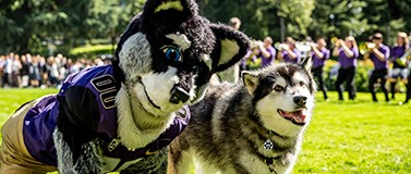 Presidents Picnic Harry Husky mascot and Dubs