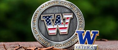 veterans day w flag pin