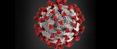 coronavirus rendering