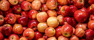 Apples