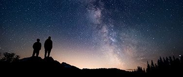 Night Sky Silhouettes