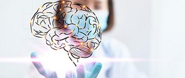 Outline of a human brain being held by researcher