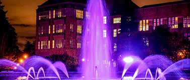Fountain in purple lights