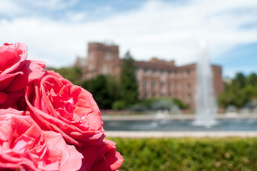 Supports the work of the UW Counseling Center to bring awareness of campus resources to students