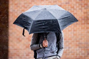 Provides support for the UW Counseling Center and spreads awareness of the free resources available to students