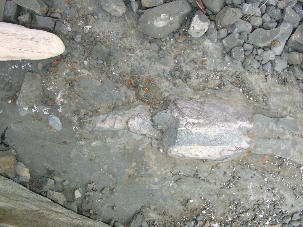 Column Photo 1