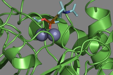 winter-2017-protein-design-gift-nordstrom