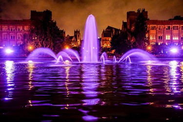 summer-2017-purple-fountain