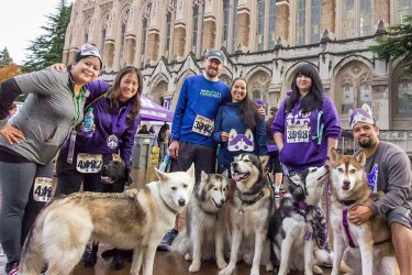 fall-2016-dawg-dash