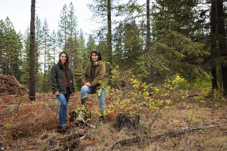 Portraits of wildfire researchers