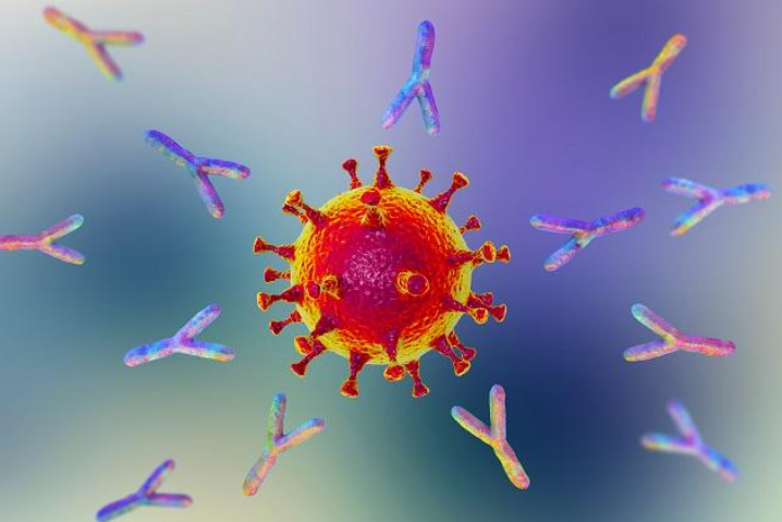 photo of germs
