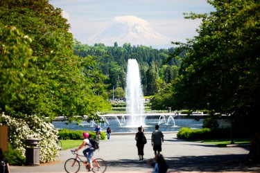 Rainier Vista
