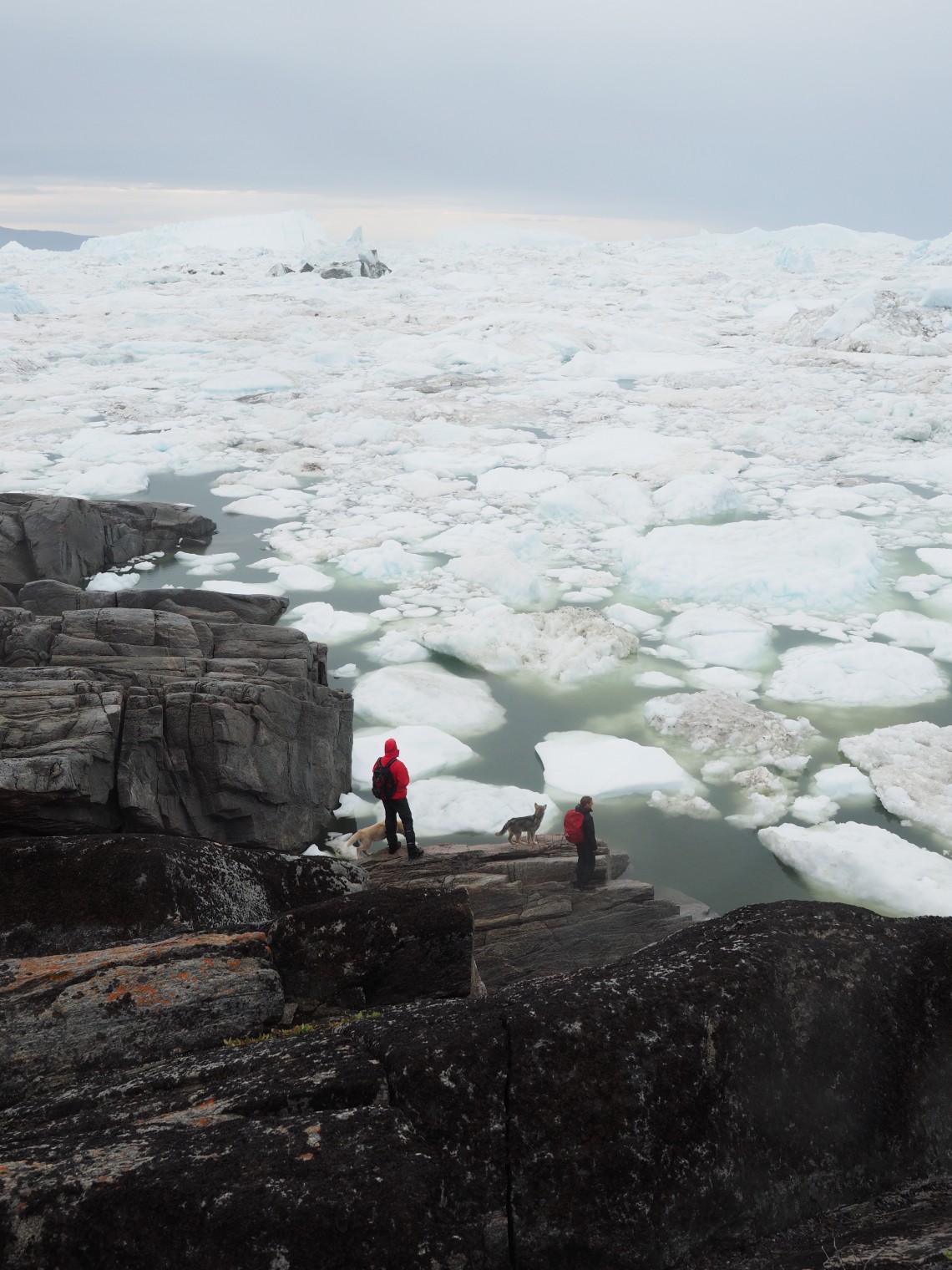 Greenland Jacobvshavn