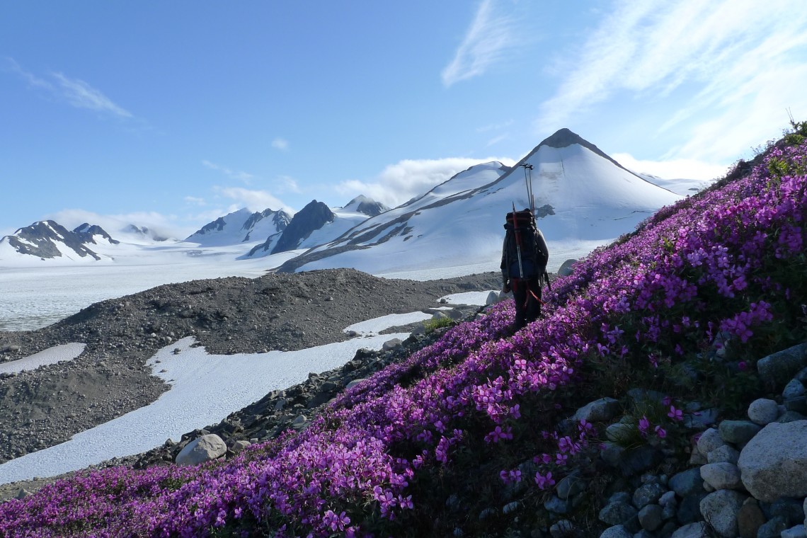 Juneau Icefield