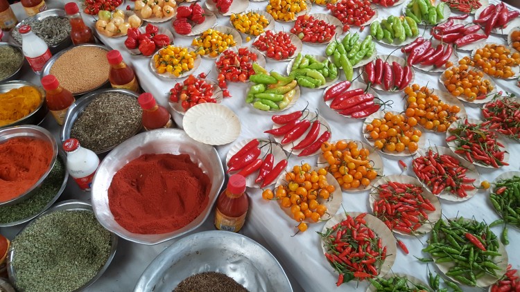 A highlight of Imsdahl’s visit to Brazil: the opportunity to try new fruits and vegetables. She took this photo at a market in Rio de Janeiro.