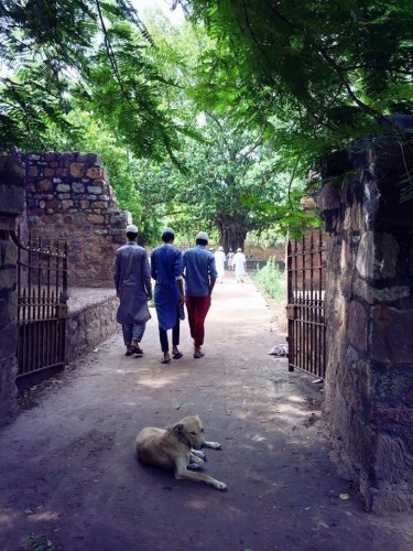 The Qutb complex in Delhi, India, contains minaret relics and an active masjid, or mosque. “I took this photo in the shady courtyard, hoping to remember the rest and welcome of the moment without invading the privacy of the space,” Amin says.