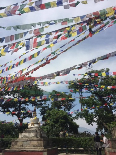 Amin visited Swayambhunath, a Buddhist temple in Kathmandu, Nepal, for a moment of respite before going to work on Her Farm, which hosts women in need of a safe place.