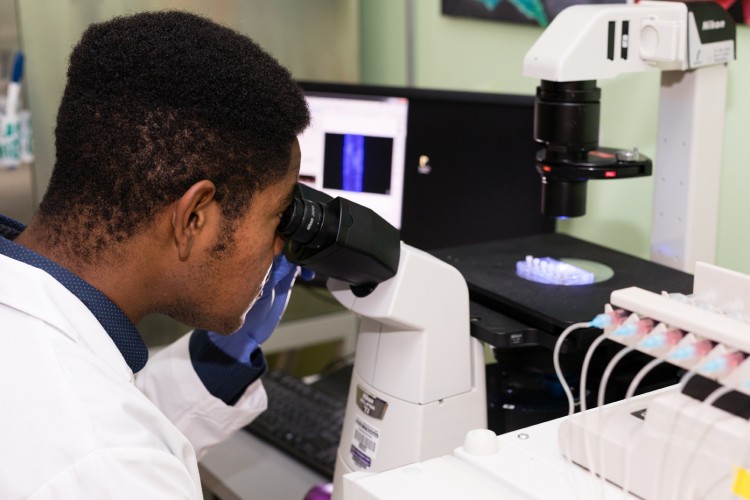 As part of the research team studying kidney-on-a-chip, Washington tests medications for their potential harm to kidneys.