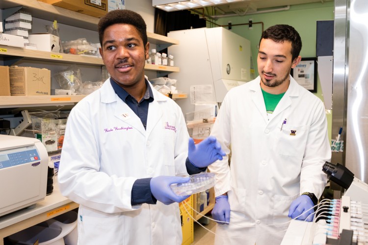 Wade Washington (left) and Elijah Weber, a School of Pharmacy graduate student, in the Kelly lab.