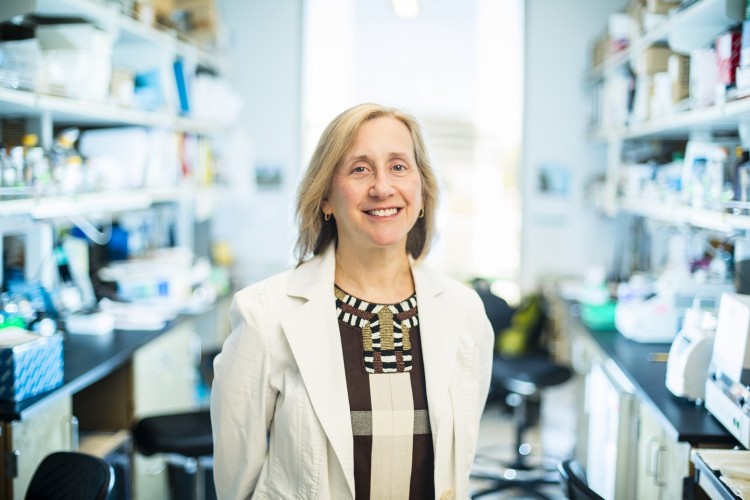 Dr. Pamela Becker’s work through the Institute for Stem Cell and Regenerative Medicine is taking aim at cancer.