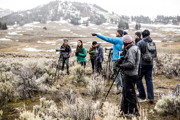 UW professors Beth Gardner (in green), Aaron Wirsing (in blue, pointing) and John Marzluff (in gray, foreground) spent their spring break teaching students about the rigors and joys of fieldwork.