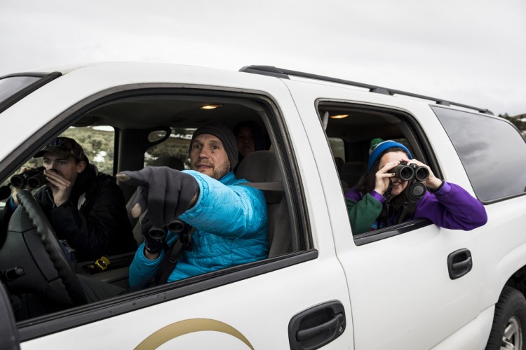 Wirsing (in blue) points out where students might see wildlife. During this trip, they conducted elk surveys — called “follows” — to learn more about how much elk scan their surroundings in known wolf ranges, and how that watchfulness might affect their overall health.