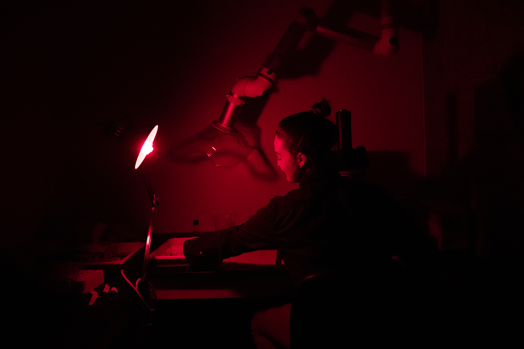 UW Tacoma student Caitlyn McFarland uses an epi-fluorescent research microscope, which makes an organism glow brightly under a mercury-vapor light. (Photo by Ryan Moriarty)