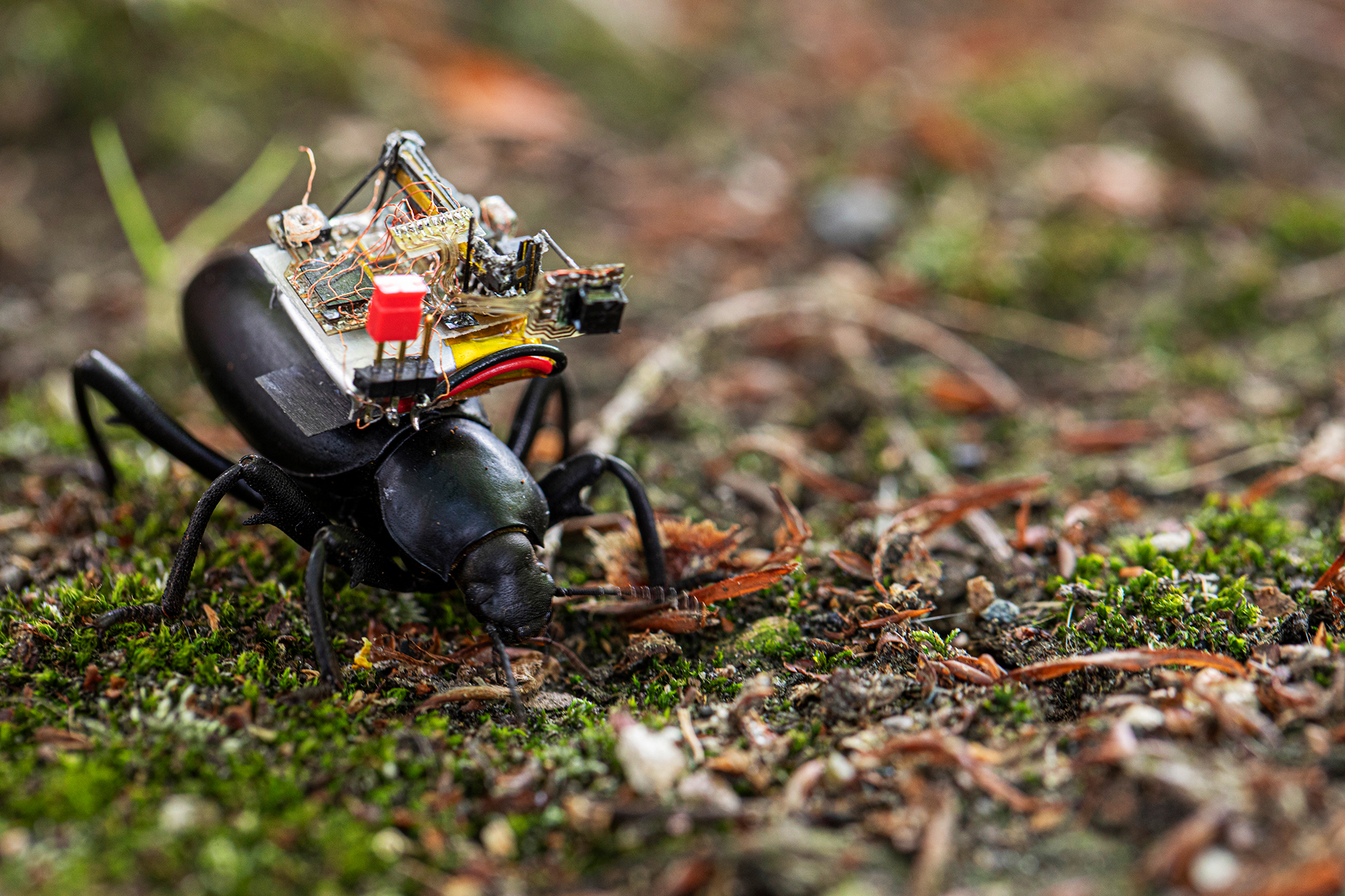 CSE Beetle Camera Team