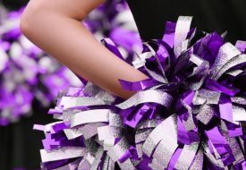 washington huskies team store