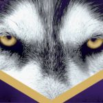 Intensely focused eyes of a husky dog framed by athletes and football play diagrams