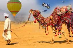 Rajasthan